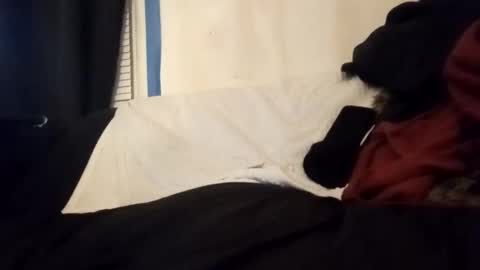 Frankie online show from 01/14/26, 06:41