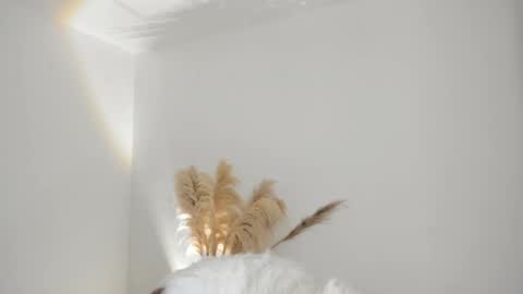 Kim Murphy online show from 10/18/25, 12:28