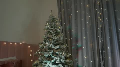 Snapshot of kim_oberlin chatting on 12/30/24, 05:34 Kim Oberlin online show from 12/30/24, 05:34