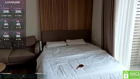 Kim online show from 11/17/25, 04:18