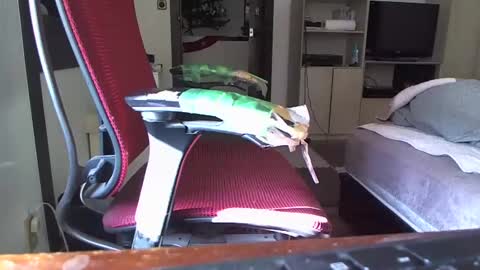 kinchan069 online show from 12/26/24, 03:59