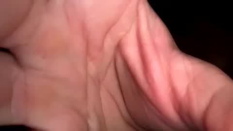 king26844 online show from 03/29/26, 02:39