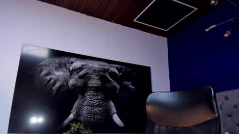 Angel Falconer online show from 01/15/26, 02:16