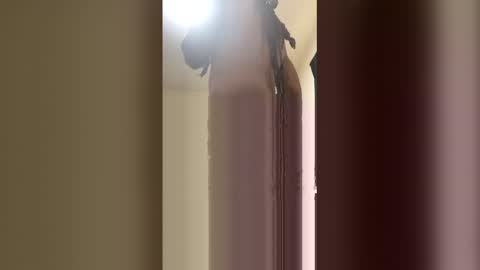 kingecstasyxxxddd online show from 05/18/26, 05:30