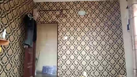 kingemizzy online show from 02/03/26, 08:08