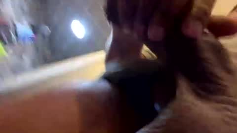 Snapshot of kingshyster chatting on 07/20/26, 03:14 kingshyster online show from 07/20/26, 03:14