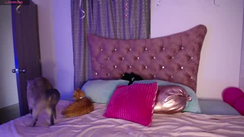  Sara  online show from 12/11/24, 10:16