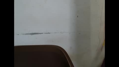 kinkyjuicexx online show from 04/13/26, 10:10