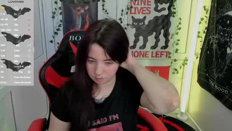 meow online show from 05/22/26, 12:22