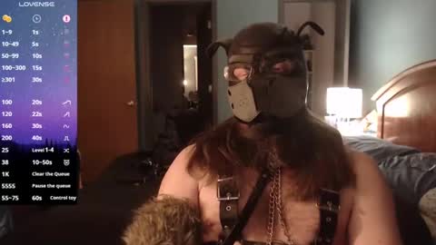 kinkywolf87 online show from 02/02/25, 08:24