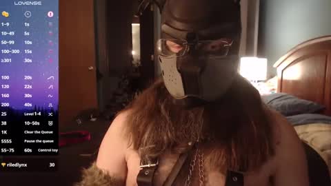 kinkywolf87 online show from 03/06/25, 08:41