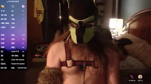 kinkywolf87 online show from 04/26/26, 06:33