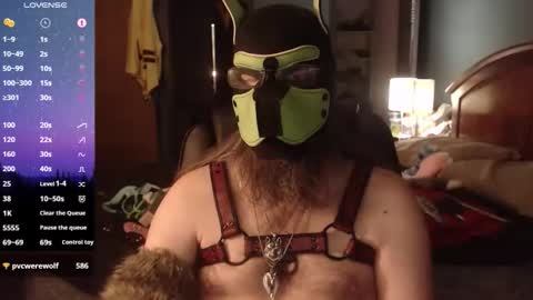 kinkywolf87 online show from 05/08/26, 12:27