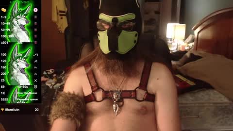 kinkywolf87 online show from 07/03/26, 12:06