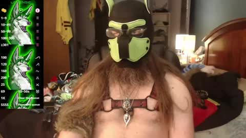 kinkywolf87 online show from 07/05/26, 09:44