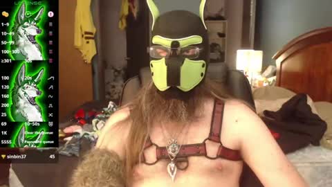 kinkywolf87 online show from 07/08/26, 07:29