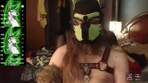 kinkywolf87 online show from 07/10/26, 03:47
