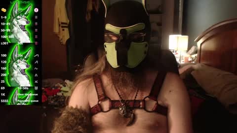 kinkywolf87 online show from 07/18/26, 03:00