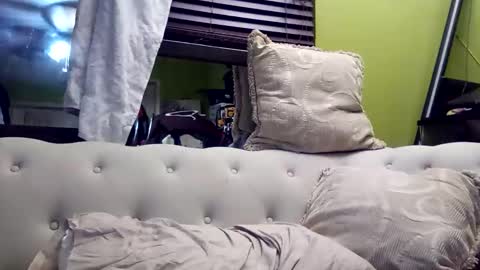 Snapshot of kishan2525 chatting on 11/23/25, 11:26 Kishan2525 online show from 11/23/25, 11:26