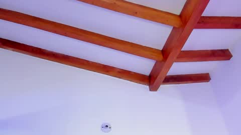 Kissing Company online show from 04/11/26, 04:50