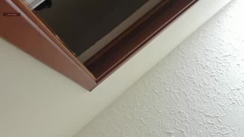 Sara online show from 04/17/26, 10:51