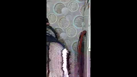 Snapshot of kissmycurvesxo chatting on 05/18/26, 03:13 Goddess online show from 05/18/26, 03:13