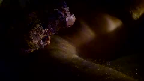 Kitkat loco online show from 11/03/25, 09:54