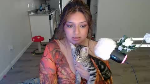 kittengonewild online show from 05/24/26, 11:32