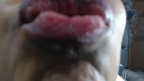 kitty online show from 01/23/25, 03:48