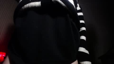 kittyhouse_hs online show from 12/29/24, 08:55