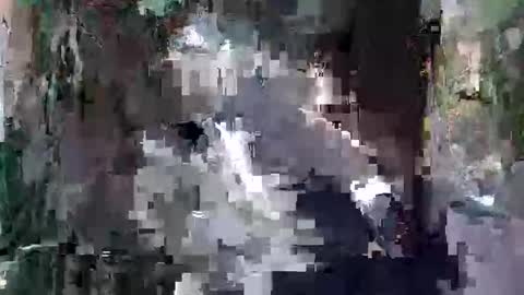 kittykemi online show from 09/24/25, 02:48