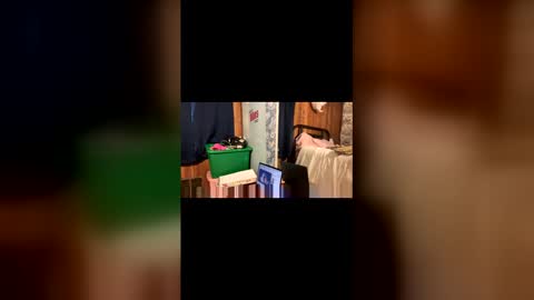 kittypurrrrry online show from 03/31/26, 05:13