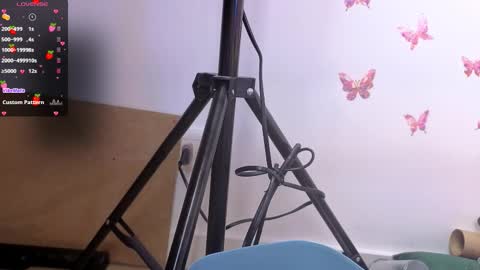 Kitty online show from 12/16/25, 12:48