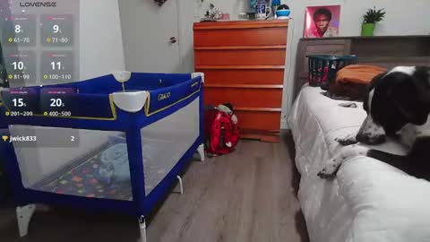 Kittyymaze online show from 01/19/25, 02:28