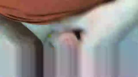 klok8230 online show from 02/15/26, 08:27