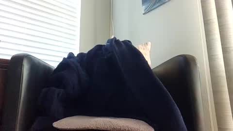 knightrider4324 online show from 12/21/24, 07:06