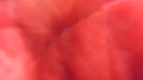 kobayaske online show from 02/15/25, 12:15