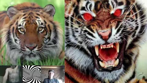 kodiakpm1 online show from 02/01/25, 07:15