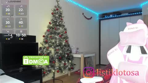 Snapshot of kokome21 chatting on 12/26/24, 11:13 kokome21 online show from 12/26/24, 11:13