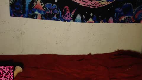 konekokawai online show from 02/13/25, 11:15