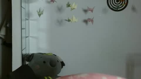 Karoll online show from 01/13/26, 01:11