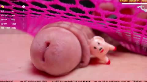 Petra online show from 02/24/25, 07:52