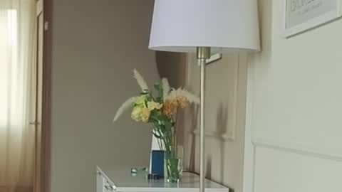 Snapshot of kristinedean chatting on 09/13/25, 05:18 Kristi online show from 09/13/25, 05:18