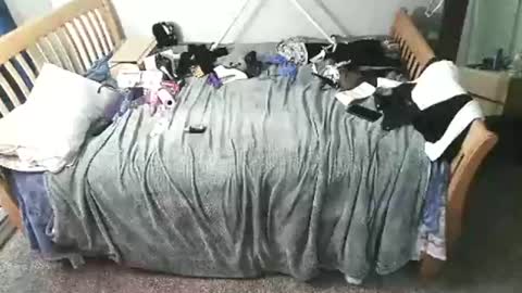 kulinky6969 online show from 12/15/25, 11:58