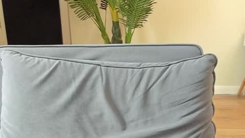 Kyle online show from 11/05/25, 12:16