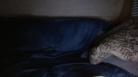 Kyle chat online show from 04/04/26, 06:33