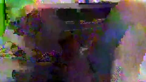 kylevogt2024 online show from 04/14/26, 03:56