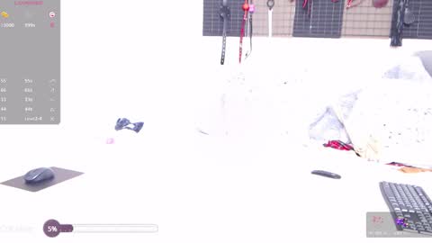 Lily Paw  online show from 12/02/24, 08:00