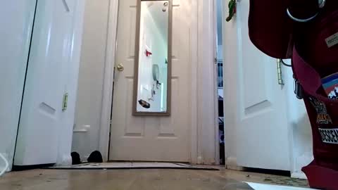 Snapshot of lacybell chatting on 01/08/25, 02:14 lacybell online show from 01/08/25, 02:14