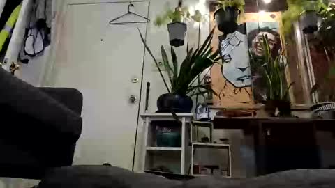 Snapshot of lacybell chatting on 02/19/25, 07:28 lacybell online show from 02/19/25, 07:28